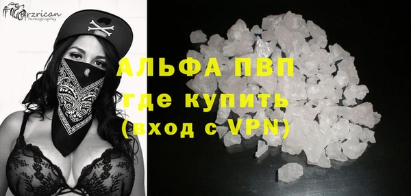 винт Вяземский