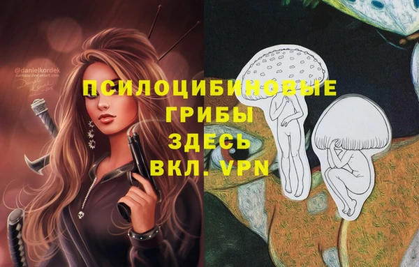 бошки Вязники