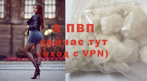ешки Вязьма