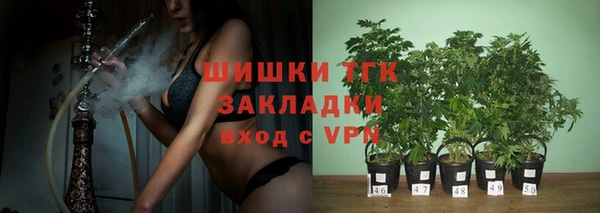 винт Вяземский