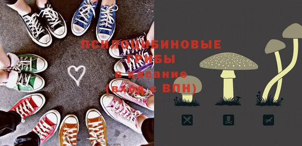 ешки Вязьма